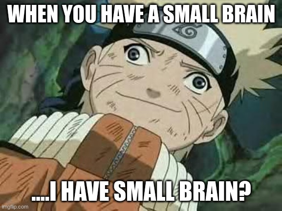 you suck | WHEN YOU HAVE A SMALL BRAIN; ....I HAVE SMALL BRAIN? | image tagged in derp naruto | made w/ Imgflip meme maker