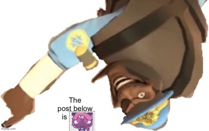 The post below is below | image tagged in the post below is below | made w/ Imgflip meme maker