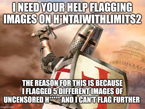 crusader | I NEED YOUR HELP FLAGGING IMAGES ON H*NTAIWITHLIMITS2; THE REASON FOR THIS IS BECAUSE I FLAGGED 5 DIFFERENT IMAGES OF UNCENSORED H***** AND I CAN'T FLAG FURTHER | image tagged in crusader | made w/ Imgflip meme maker