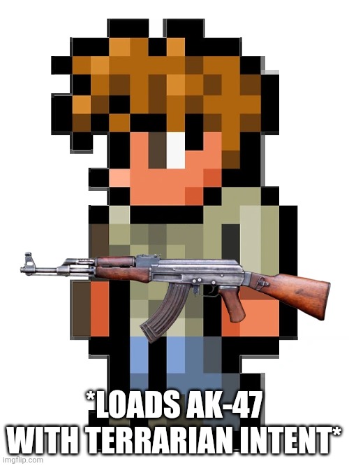 the guide | *LOADS AK-47 WITH TERRARIAN INTENT* | image tagged in the guide | made w/ Imgflip meme maker
