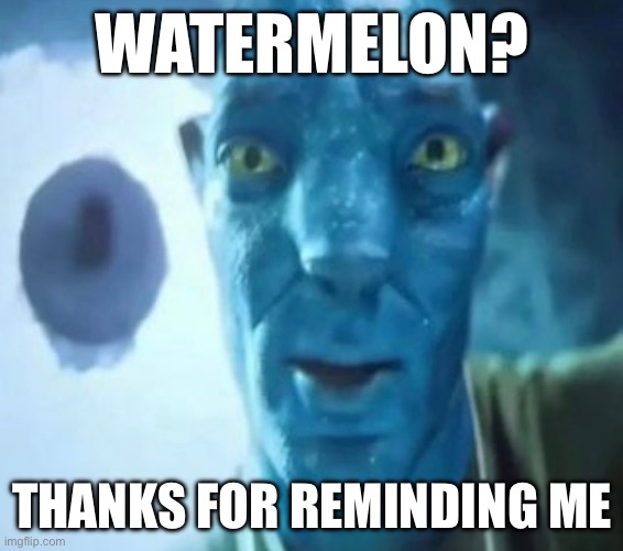 Avatar guy | WATERMELON? THANKS FOR REMINDING ME | image tagged in avatar guy,watermelon,staring avatar guy,2023,memes | made w/ Imgflip meme maker