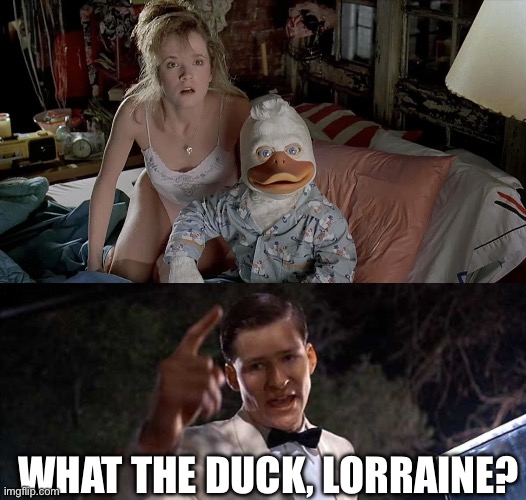 The Duck | WHAT THE DUCK, LORRAINE? | image tagged in back to the future,marty mcfly,back to the future 2015 | made w/ Imgflip meme maker