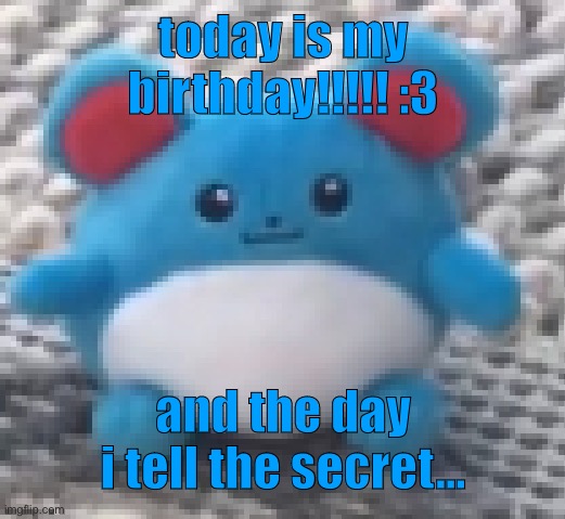 comments | today is my birthday!!!!! :3; and the day i tell the secret… | image tagged in marill 6 | made w/ Imgflip meme maker