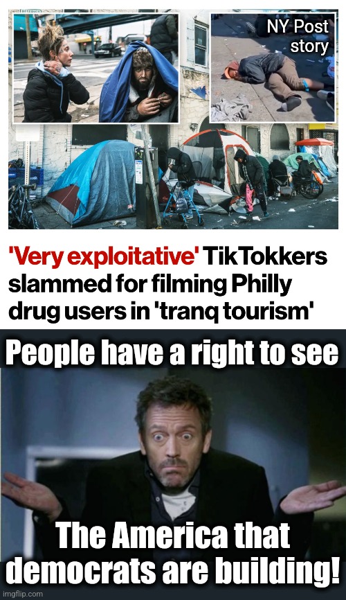 As much as I dislike "Tik Tokkers" | NY Post
story; People have a right to see; The America that
democrats are building! | image tagged in shrug,democrats,drugs,crime,poverty,homelessness | made w/ Imgflip meme maker