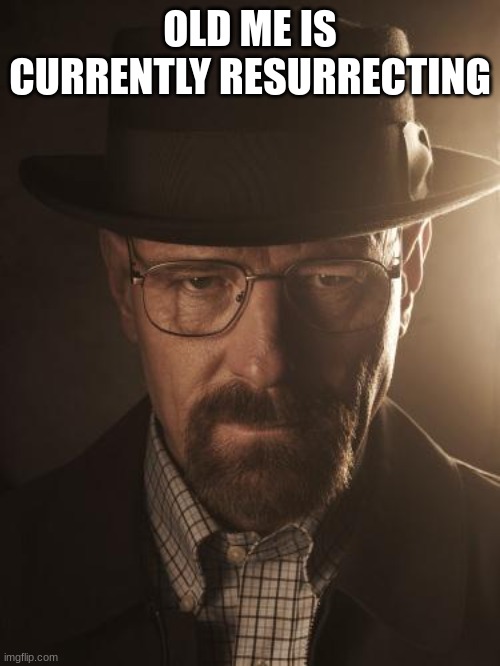 Walter White | OLD ME IS CURRENTLY RESURRECTING | image tagged in walter white | made w/ Imgflip meme maker