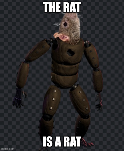 fnac is crazy man | THE RAT; IS A RAT | image tagged in fnaf,rats | made w/ Imgflip meme maker