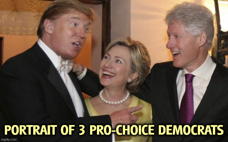 He was handsomer in those days, before the brainrot set in. | PORTRAIT OF 3 PRO-CHOICE DEMOCRATS | image tagged in millionaires and billionaires,donald trump,democrat,bill clinton,hillary clinton,pro choice | made w/ Imgflip meme maker