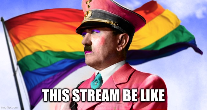 Gay Hitler LGBTQ+ volsrock JPP Nazi | THIS STREAM BE LIKE | image tagged in gay hitler lgbtq volsrock jpp nazi | made w/ Imgflip meme maker