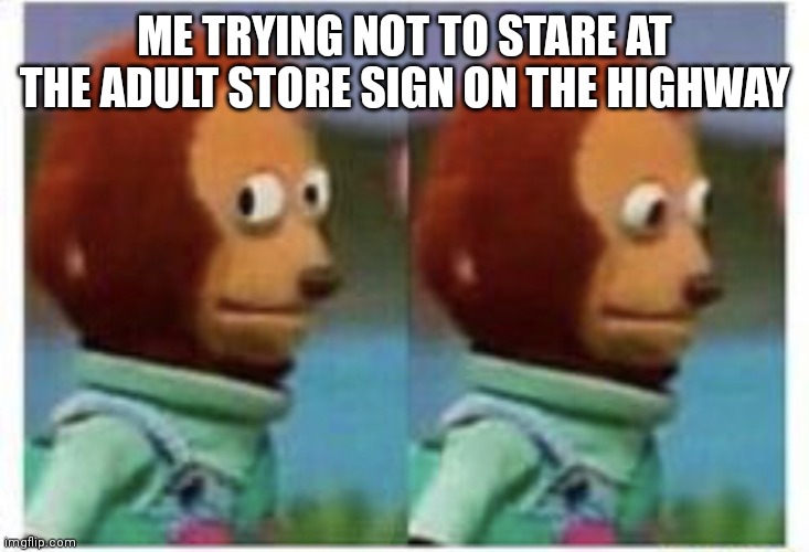 side eye teddy | ME TRYING NOT TO STARE AT THE ADULT STORE SIGN ON THE HIGHWAY | image tagged in side eye teddy,stare | made w/ Imgflip meme maker