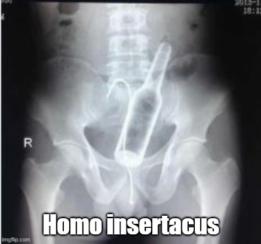 Homo insertacus | made w/ Imgflip meme maker