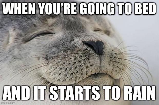 E | WHEN YOU’RE GOING TO BED; AND IT STARTS TO RAIN | image tagged in memes,satisfied seal | made w/ Imgflip meme maker