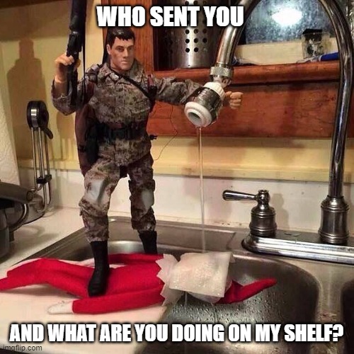 Elf Torture | WHO SENT YOU; AND WHAT ARE YOU DOING ON MY SHELF? | image tagged in elf,christmas,funny memes | made w/ Imgflip meme maker