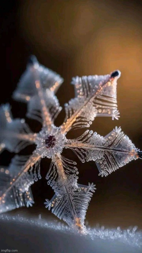 Snowflake | image tagged in snowflake,close up,beautiful nature,awesome,photography | made w/ Imgflip meme maker