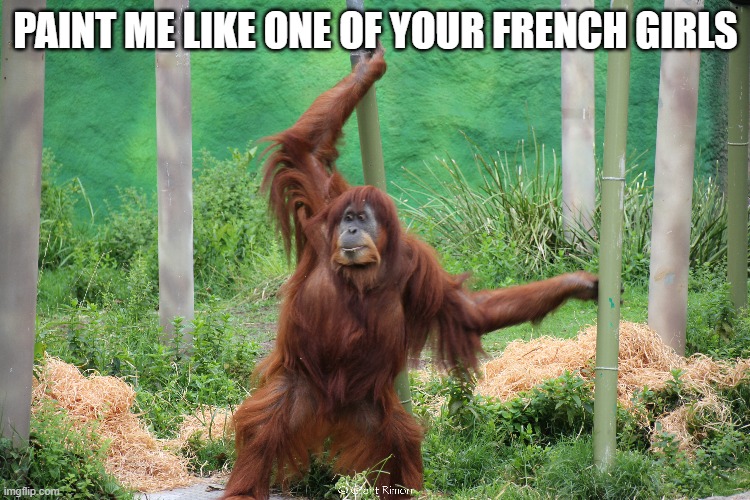 French Girls | PAINT ME LIKE ONE OF YOUR FRENCH GIRLS | image tagged in melbourne zoo,orangutan | made w/ Imgflip meme maker