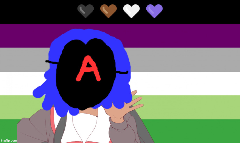 aroace flag | 🖤🤎🤍💜 | made w/ Imgflip meme maker