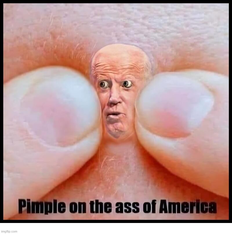 Pinch that Zit! | image tagged in pimples zero,zit,creepy joe biden,pussbag,pussy,pedohitler | made w/ Imgflip meme maker