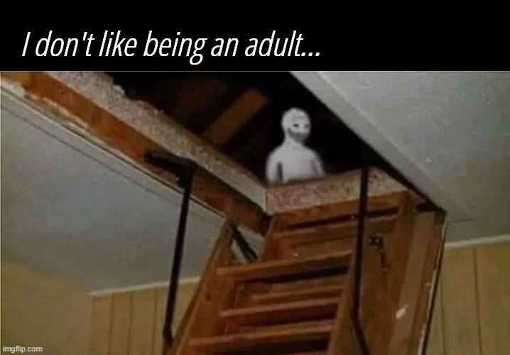 big sad | I don't like being an adult... | image tagged in wojak attic,me | made w/ Imgflip meme maker