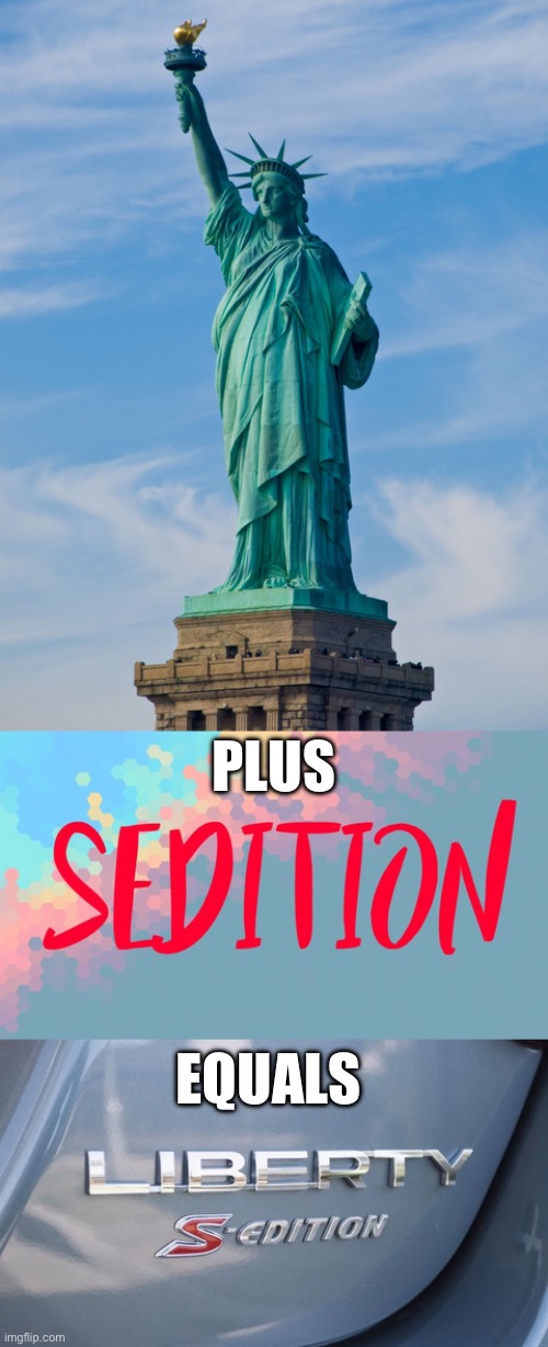 It’s Math | PLUS; EQUALS | image tagged in statue of liberty,sedition,math | made w/ Imgflip meme maker