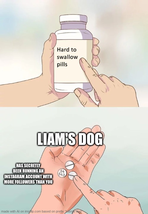 Hard To Swallow Pills Meme | LIAM'S DOG; HAS SECRETLY BEEN RUNNING AN INSTAGRAM ACCOUNT WITH MORE FOLLOWERS THAN YOU | image tagged in memes,hard to swallow pills | made w/ Imgflip meme maker