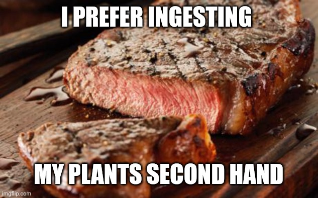 Steak | I PREFER INGESTING MY PLANTS SECOND HAND | image tagged in steak | made w/ Imgflip meme maker