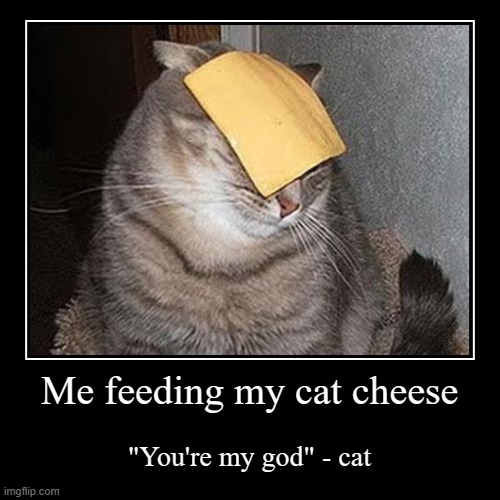 Me feeding my cat cheese | "You're my god" - cat | image tagged in funny,demotivationals | made w/ Imgflip demotivational maker