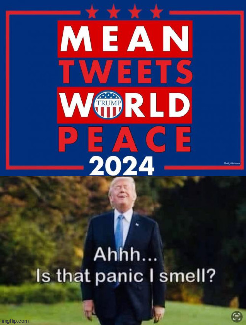 Say no to the NWO... | image tagged in president trump,libtards,panic,nwo police state | made w/ Imgflip meme maker