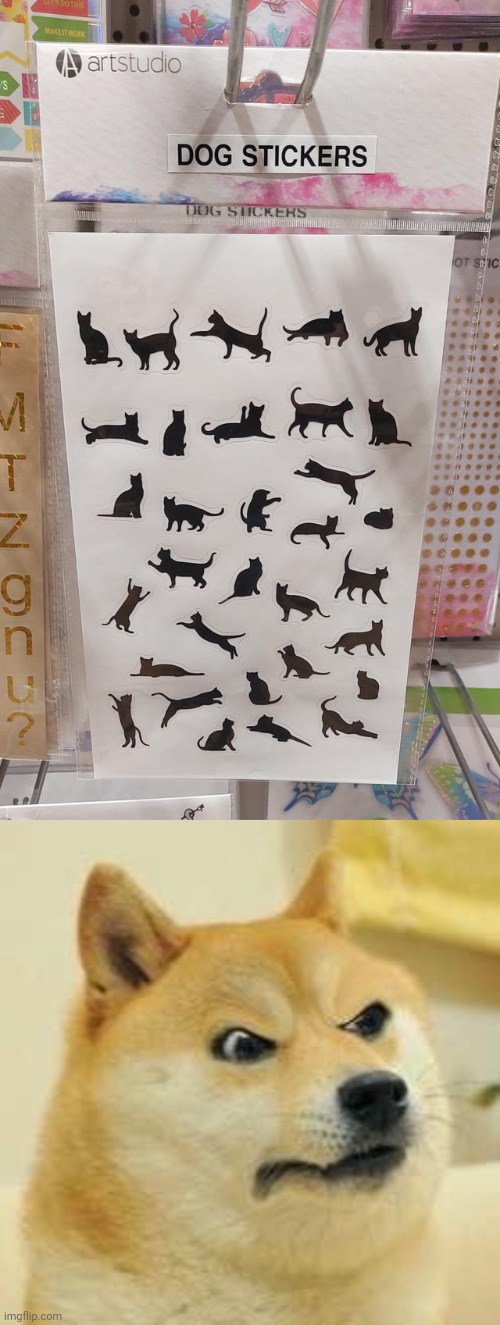 *Cat stickers | image tagged in angry doge,cat,dog,stickers,you had one job,memes | made w/ Imgflip meme maker