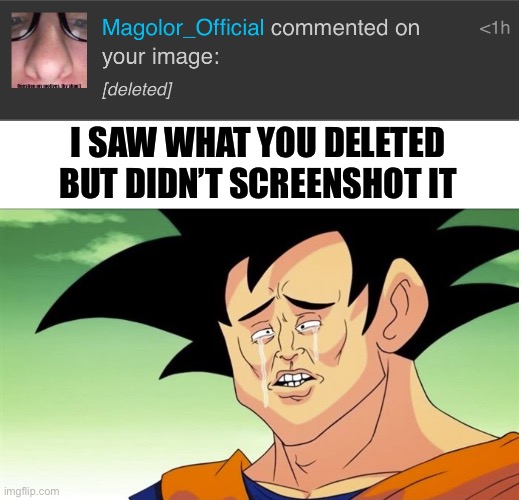 I SAW WHAT YOU DELETED BUT DIDN’T SCREENSHOT IT | image tagged in goku sad | made w/ Imgflip meme maker