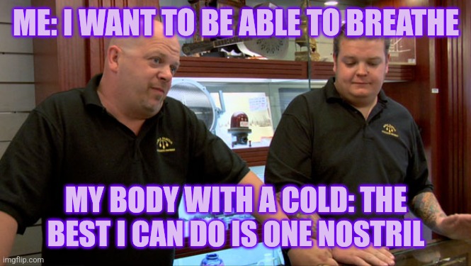 Ahhhhh you have a deal as always | ME: I WANT TO BE ABLE TO BREATHE; MY BODY WITH A COLD: THE BEST I CAN DO IS ONE NOSTRIL | image tagged in pawn stars best i can do,illness | made w/ Imgflip meme maker