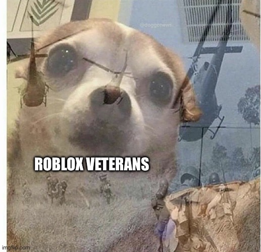 PTSD Chihuahua | ROBLOX VETERANS | image tagged in ptsd chihuahua | made w/ Imgflip meme maker