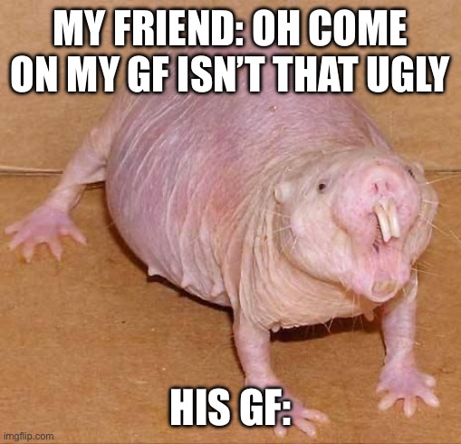 His GF | MY FRIEND: OH COME ON MY GF ISN’T THAT UGLY; HIS GF: | image tagged in naked mole rat | made w/ Imgflip meme maker