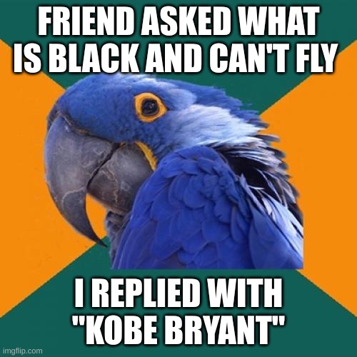 why did i make this | FRIEND ASKED WHAT IS BLACK AND CAN'T FLY; I REPLIED WITH "KOBE BRYANT" | image tagged in memes,paranoid parrot | made w/ Imgflip meme maker