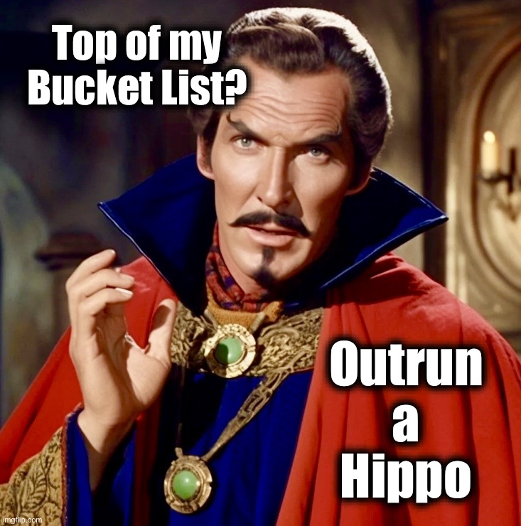 Aim High | Top of my Bucket List? Outrun
a
Hippo | image tagged in doc price,bucket list,memes,hippopotamus,vincent price,doctor strange | made w/ Imgflip meme maker