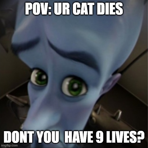 Megamind peeking | POV: UR CAT DIES; DONT YOU  HAVE 9 LIVES? | image tagged in megamind peeking | made w/ Imgflip meme maker