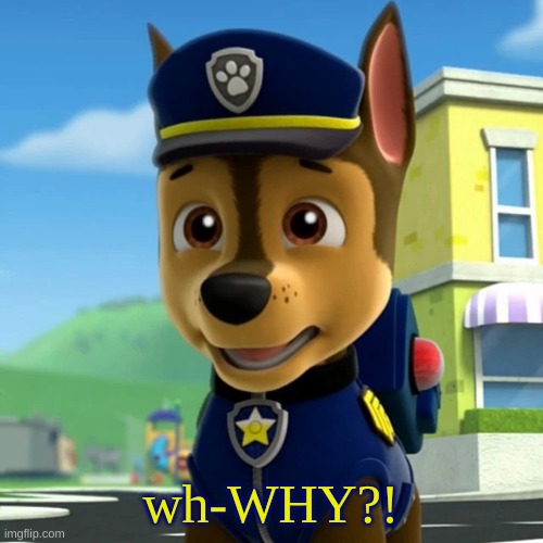 PAW Patrol: Chase Shocked/Scared(?) | wh-WHY?! | image tagged in paw patrol chase shocked/scared | made w/ Imgflip meme maker