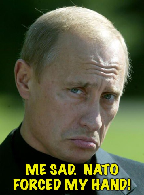 Sad Putin | ME SAD.  NATO FORCED MY HAND! | image tagged in sad putin | made w/ Imgflip meme maker