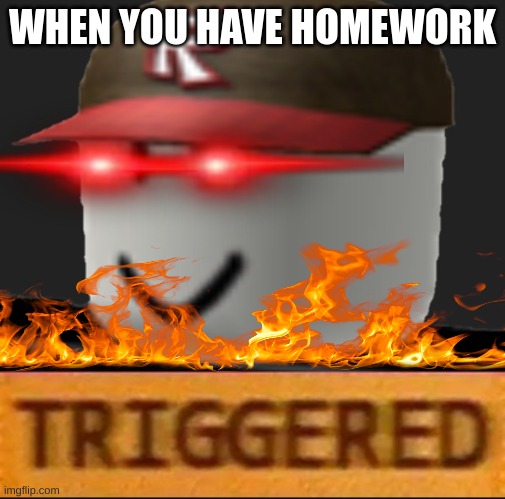 Homework. | WHEN YOU HAVE HOMEWORK | image tagged in roblox triggered | made w/ Imgflip meme maker