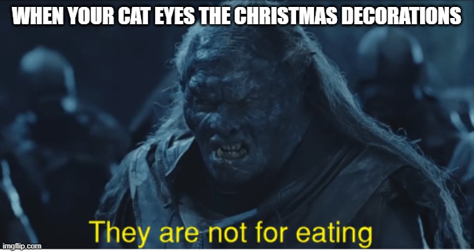 MMMMmmm... Gingerbread men | WHEN YOUR CAT EYES THE CHRISTMAS DECORATIONS | image tagged in they are not for eating | made w/ Imgflip meme maker