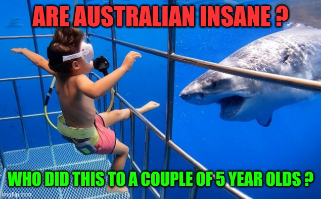 Funny | ARE AUSTRALIAN INSANE ? WHO DID THIS TO A COUPLE OF 5 YEAR OLDS ? | image tagged in funny | made w/ Imgflip meme maker