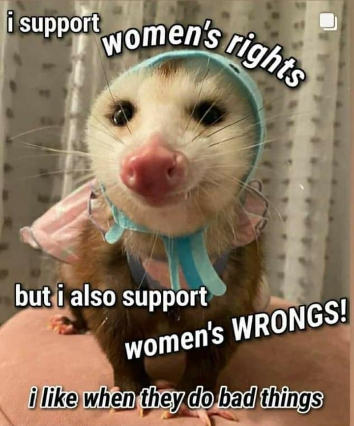 High Quality i support women's rights and women's wrongs Blank Meme Template
