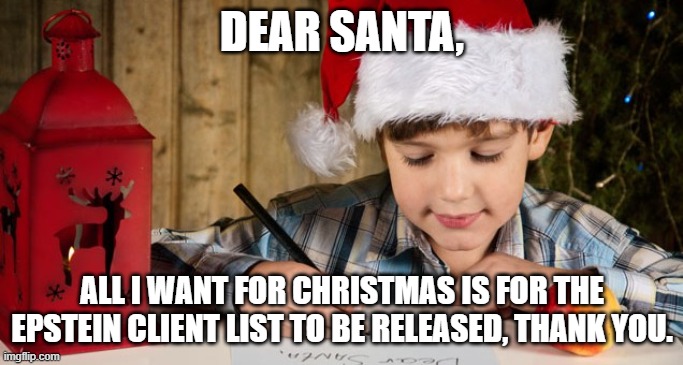 My Christmas wish | DEAR SANTA, ALL I WANT FOR CHRISTMAS IS FOR THE EPSTEIN CLIENT LIST TO BE RELEASED, THANK YOU. | image tagged in letter to santa,jeffrey epstein,democrats,republicans | made w/ Imgflip meme maker