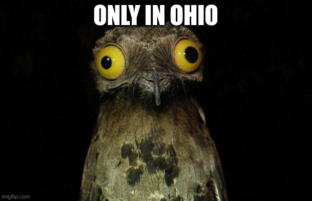 Only In Ohio | ONLY IN OHIO | image tagged in memes,weird stuff i do potoo | made w/ Imgflip meme maker