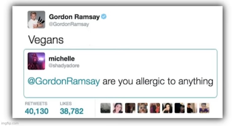 Gordon Ramsay is a savage | image tagged in memes,funny,insult,twitter,chef gordon ramsay | made w/ Imgflip meme maker