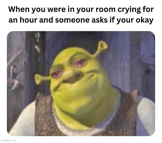 what do you think | image tagged in memes,funny,relatable,shrek | made w/ Imgflip meme maker