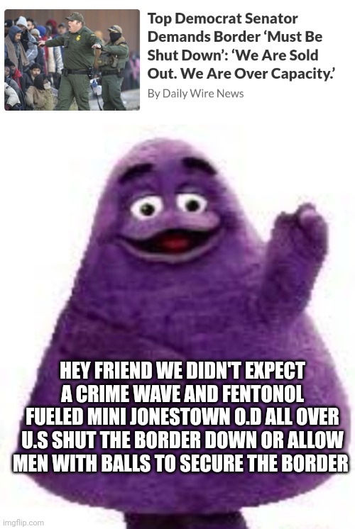 Light bulb moment to late | HEY FRIEND WE DIDN'T EXPECT A CRIME WAVE AND FENTONOL FUELED MINI JONESTOWN O.D ALL OVER U.S SHUT THE BORDER DOWN OR ALLOW MEN WITH BALLS TO SECURE THE BORDER | image tagged in border wall,funny memes,grimace,fun | made w/ Imgflip meme maker