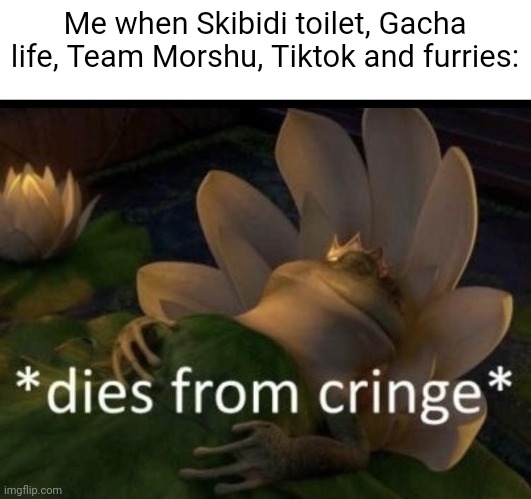 Unfortunately nobody can escape from cringe. | Me when Skibidi toilet, Gacha life, Team Morshu, Tiktok and furries: | image tagged in dies from cringe,skibidi toilet,gacha life,team morshu,tiktok,furries | made w/ Imgflip meme maker
