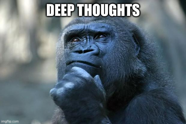 DEEP THOUGHTS | image tagged in deep thoughts | made w/ Imgflip meme maker