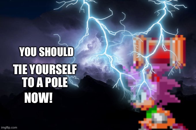 You should tie yourself to a pole, now! | image tagged in you should tie yourself to a pole now | made w/ Imgflip meme maker