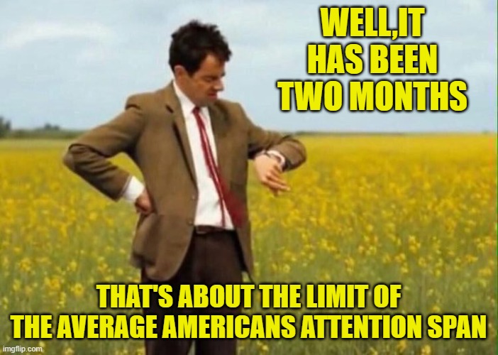 mr bean waiting | WELL,IT HAS BEEN TWO MONTHS THAT'S ABOUT THE LIMIT OF THE AVERAGE AMERICANS ATTENTION SPAN | image tagged in mr bean waiting | made w/ Imgflip meme maker