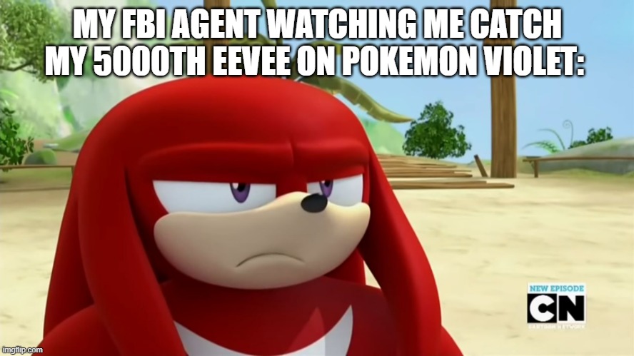 They are just too cute ok | MY FBI AGENT WATCHING ME CATCH MY 5000TH EEVEE ON POKEMON VIOLET: | image tagged in pokemon | made w/ Imgflip meme maker